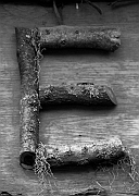 Wall_Art_Alphabet_Photography_Art_ 527